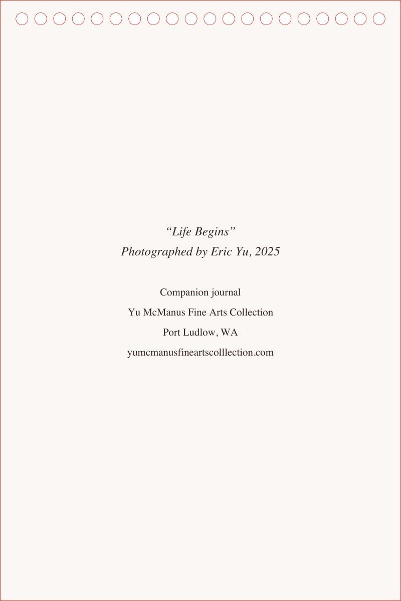Let Life Unfold — back cover