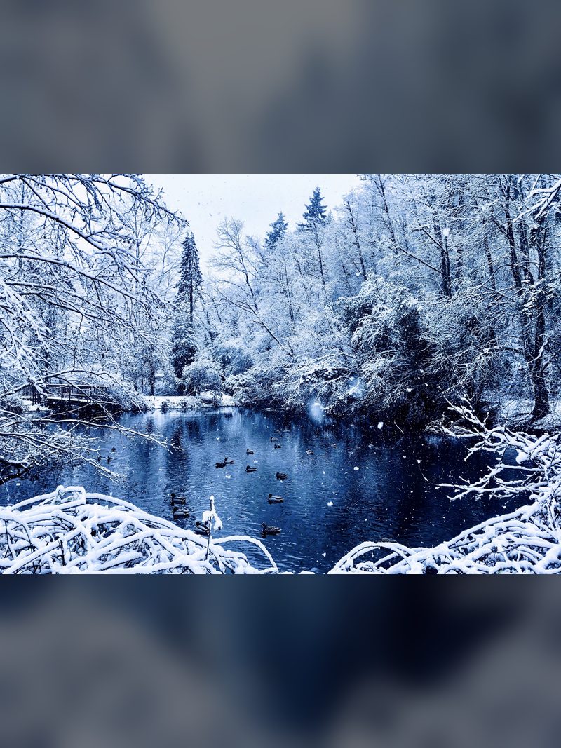 Winter's Tale