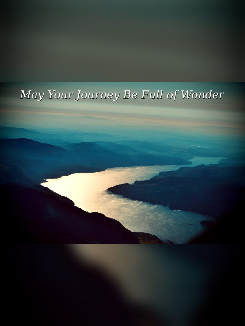 Wonder